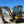 Load image into Gallery viewer, XE27U Mini Excavator (2022-2023)